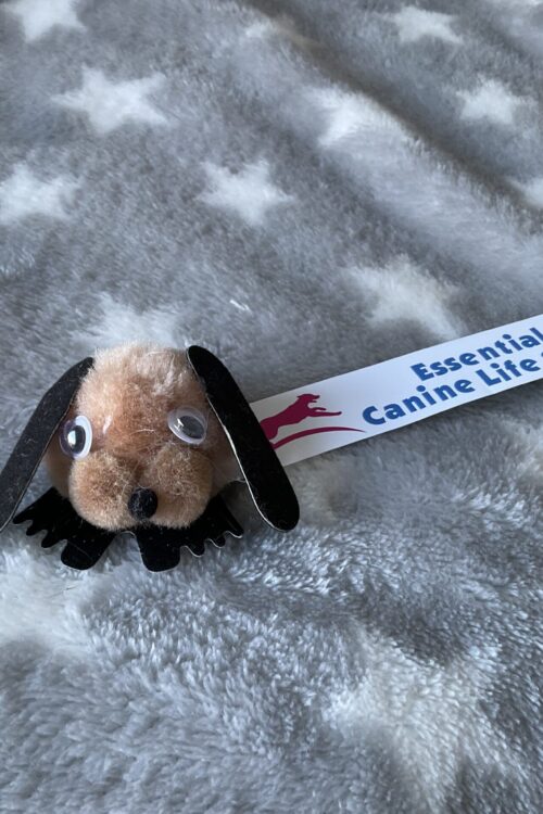 Branded Adhesive Bug