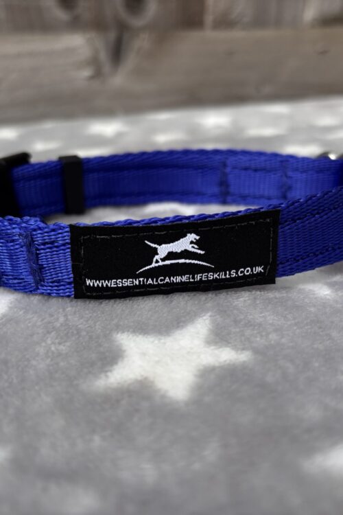 Medium Lightweight Collar