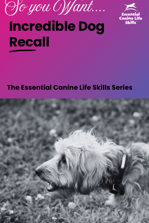 Incredible Recall PDF