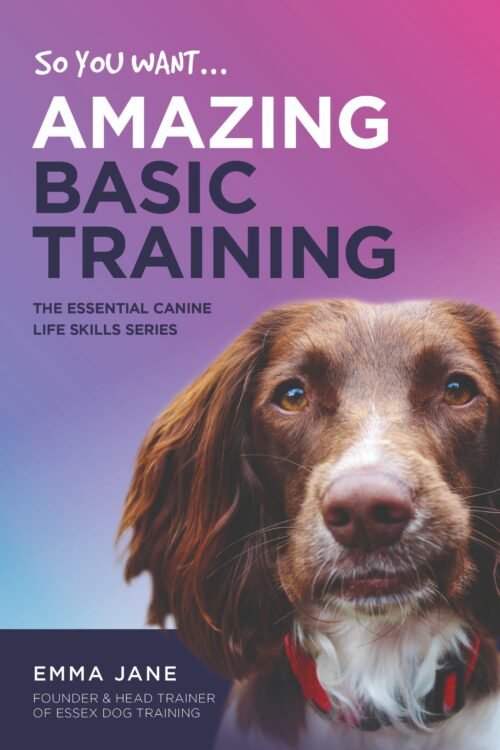 So, You Want Amazing Basic Training Book
