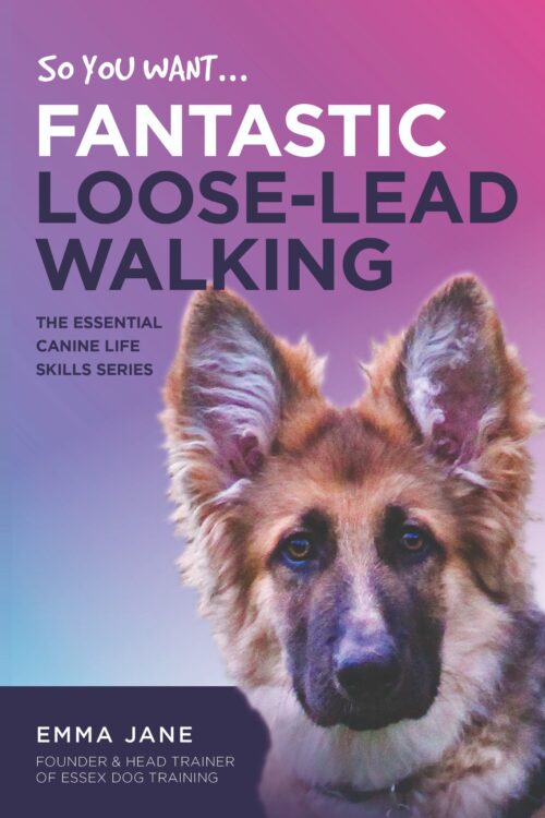 So, You Want Fantastic Loose-Lead Walking Book