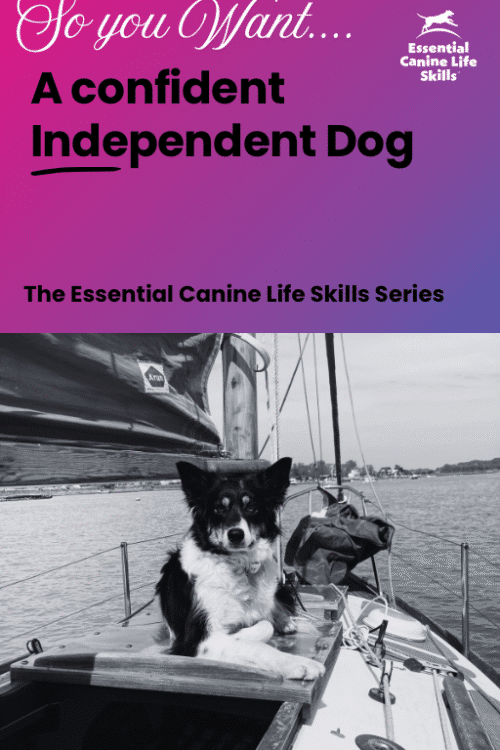 Creating Confident, Independent Dogs PDF