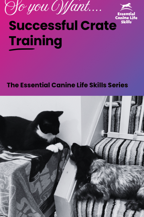 Successful Crate Training PDF