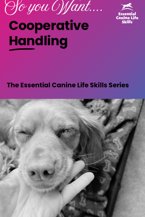 Cooperative Handling PDF