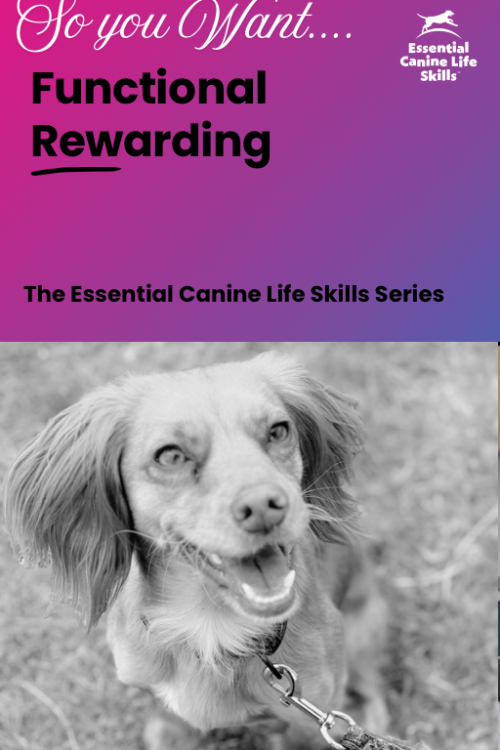 Functional Rewarding PDF