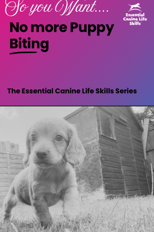 No More Puppy Biting PDF