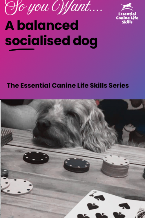 A Balanced Socialised Dog PDF