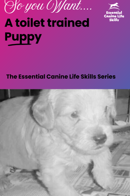 A Toilet Trained Puppy PDF