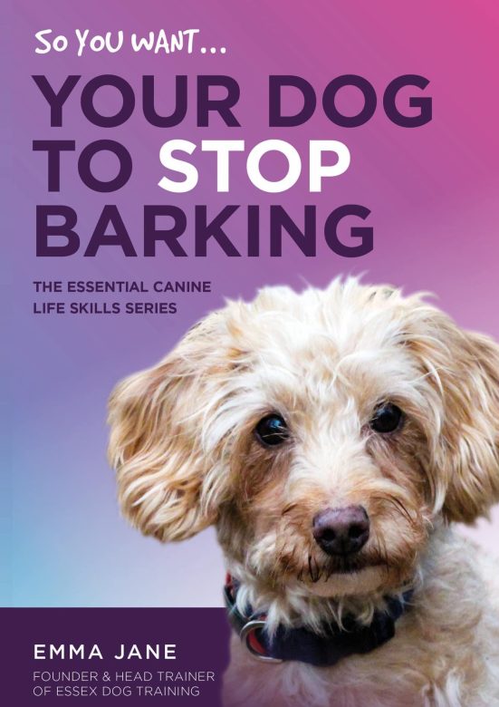 20240104_135601000_iOS