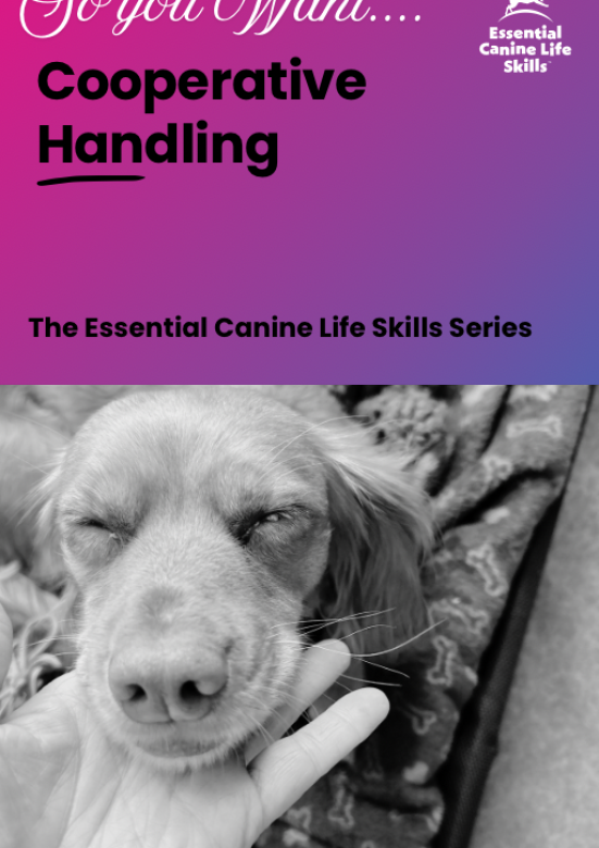 20260216_122229392_iOS