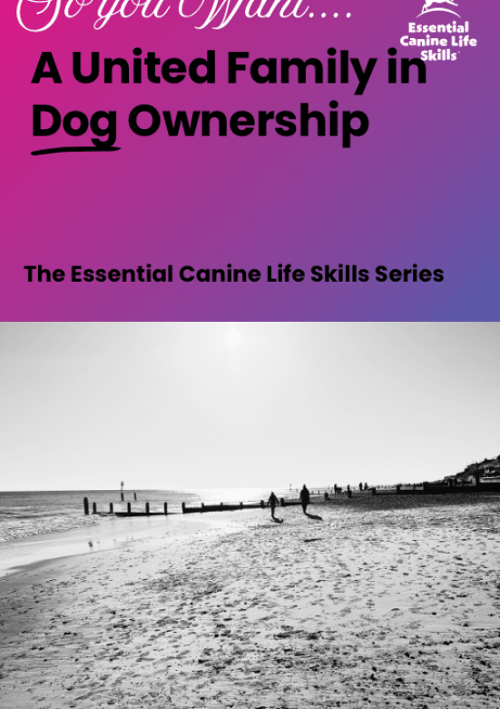 20260216_122429232_iOS