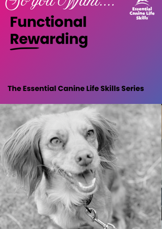 20260216_122859284_iOS