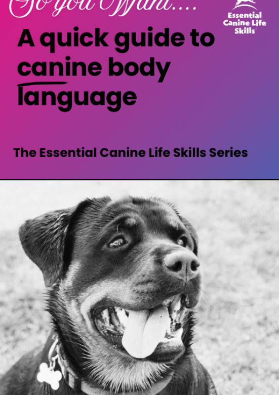 20260216_123250440_iOS