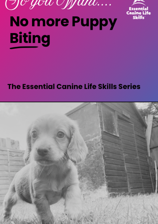 20260216_123400829_iOS