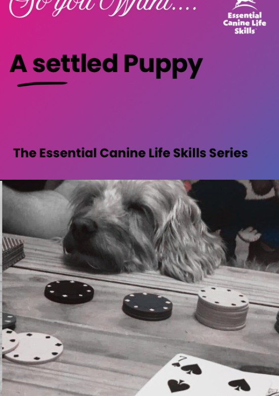 20260216_123606902_iOS