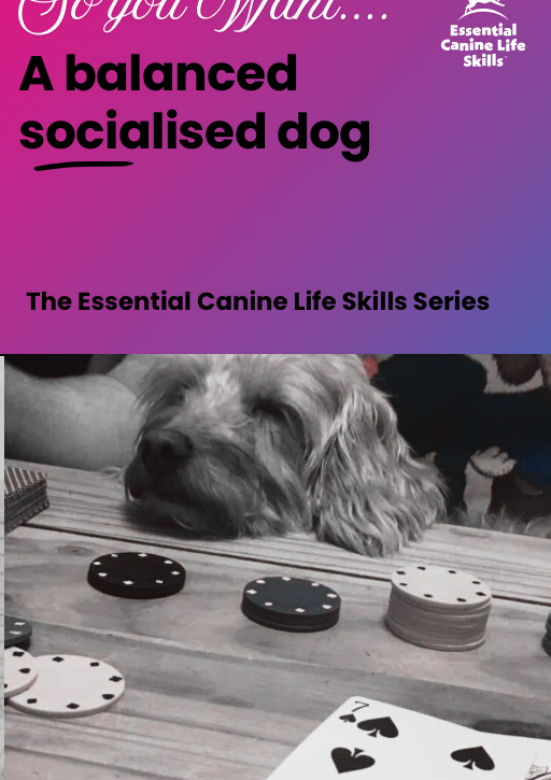 20260216_123802390_iOS