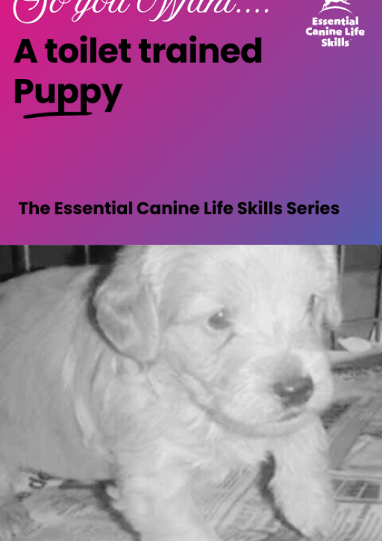 20260216_124042039_iOS