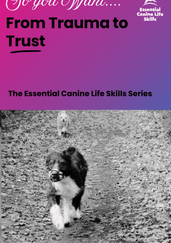 20260226_072043775_iOS