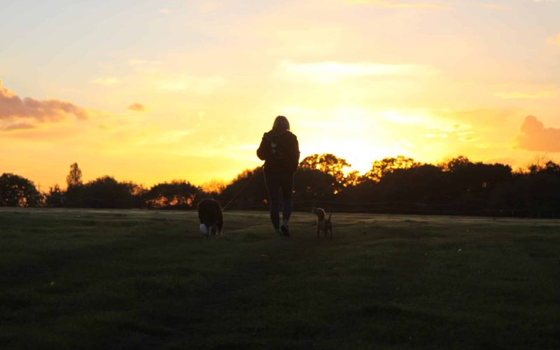 D1A9773D-840C-481D-82CC-46FC690B1D9B