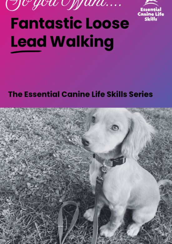 Fantastic Loose Lead Walking