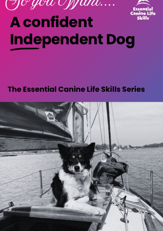 confident independent dog