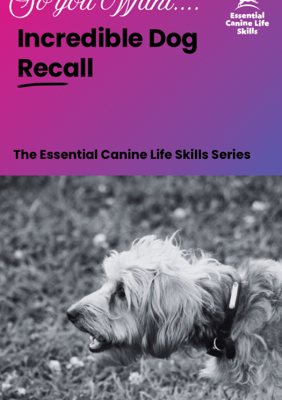 incredible dog recall