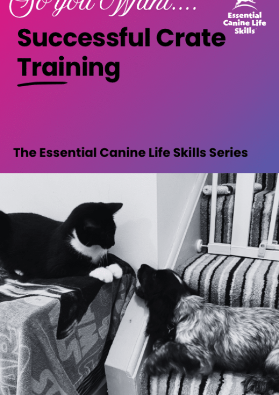 successful crate training